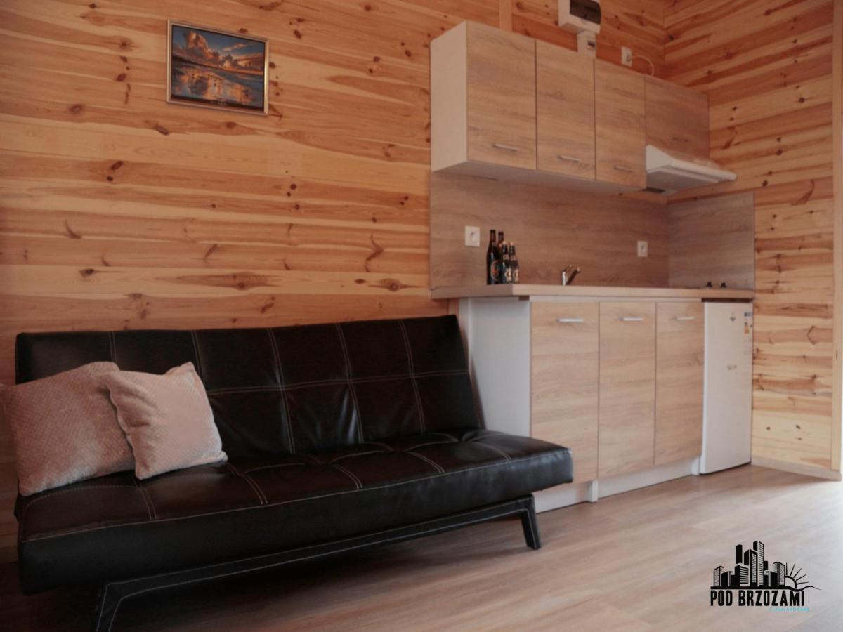 Pod Brzozami Apartamenty Domek Ustronny Устроне-Морське Екстер'єр фото